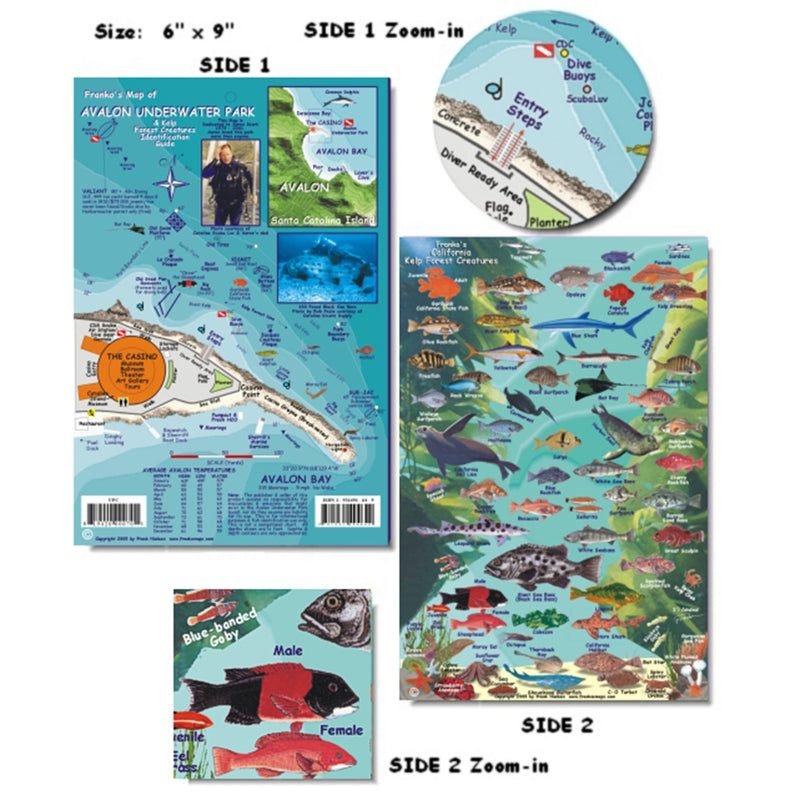 Franko Maps Avalon Underwater Park Dive Creature Guide 5.5 X 8.5 Inch