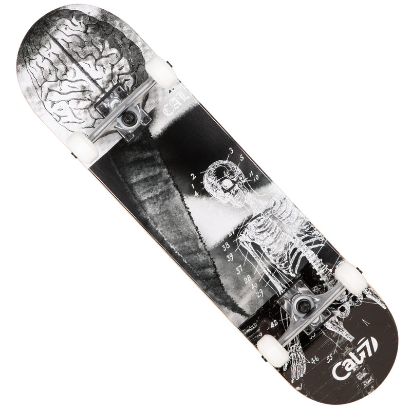 Cal 7 Complete 8.0 Inch Anatomy Skateboard