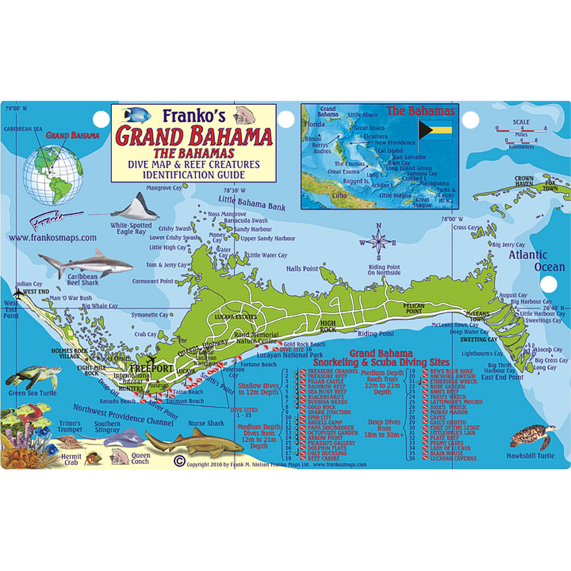Franko Maps Grand Bahama Coral Reef Dive Creature Guide 5.5 X 8.5 Inch