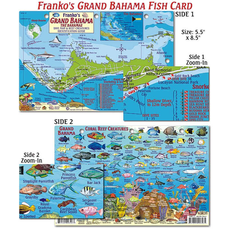 Franko Maps Grand Bahama Coral Reef Dive Creature Guide 5.5 X 8.5 Inch