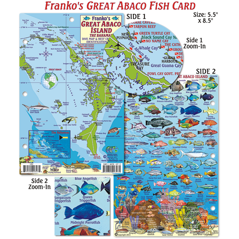 Franko Maps Great Abaco Bahamas Dive Creature Guide 5.5 X 8.5 Inch