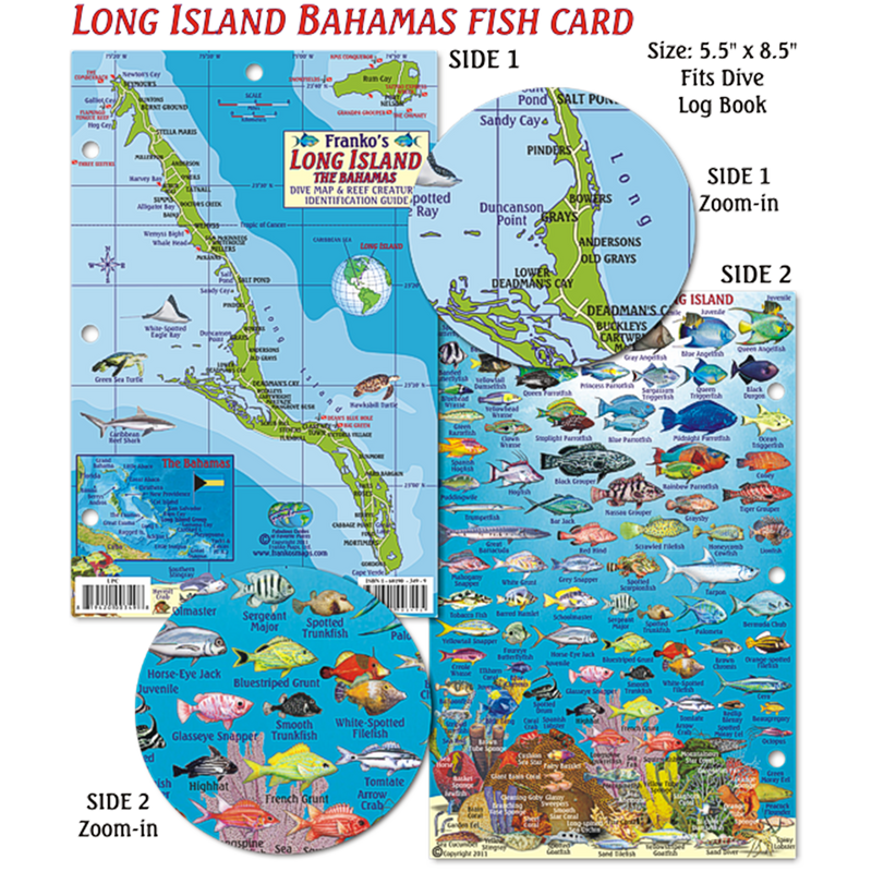 Franko Maps Long Island Bahamas Dive Creature Guide 5.5 X 8.5 Inch