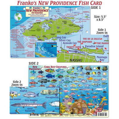 Franko Maps New Providence Island Dive Creature Guide 5.5 X 8.5 Inch