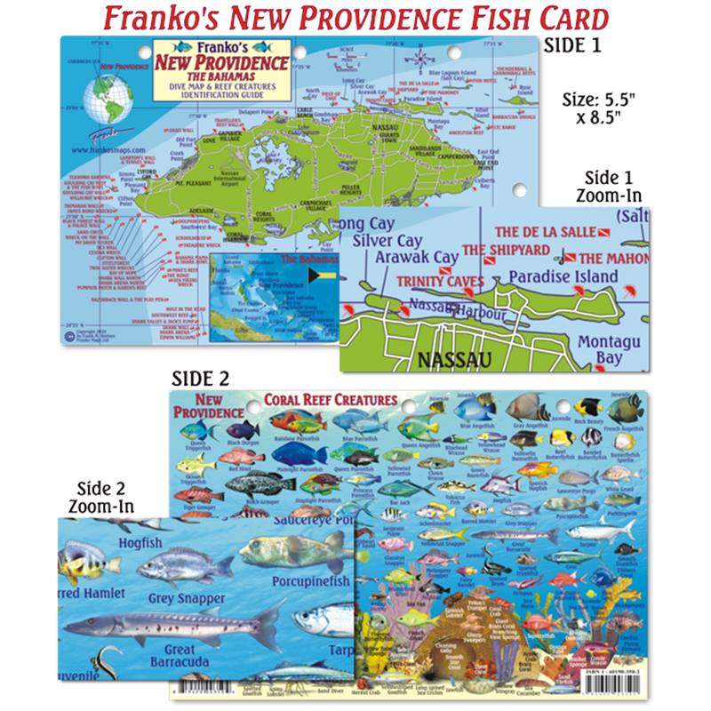 Franko Maps New Providence Island Dive Creature Guide 5.5 X 8.5 Inch