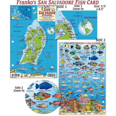 Franko Maps San Salvador Island Dive Creature Guide 5.5 X 8.5 Inch
