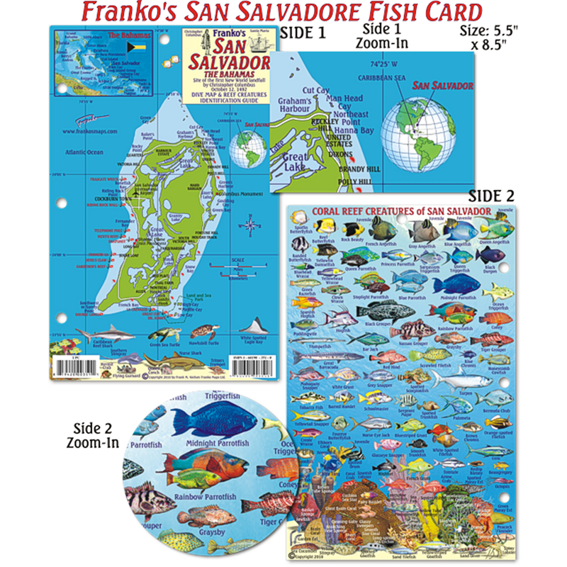 Franko Maps San Salvador Island Dive Creature Guide 5.5 X 8.5 Inch
