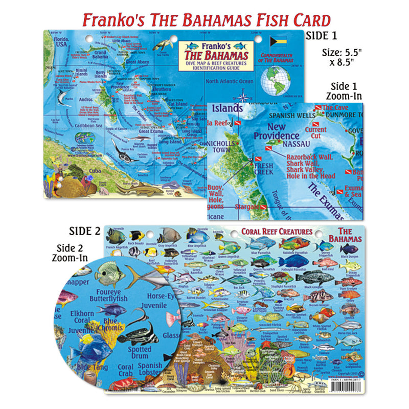 Franko Maps Bahamas Coral Reef Dive Creature Guide 5.5 X 8.5 Inch