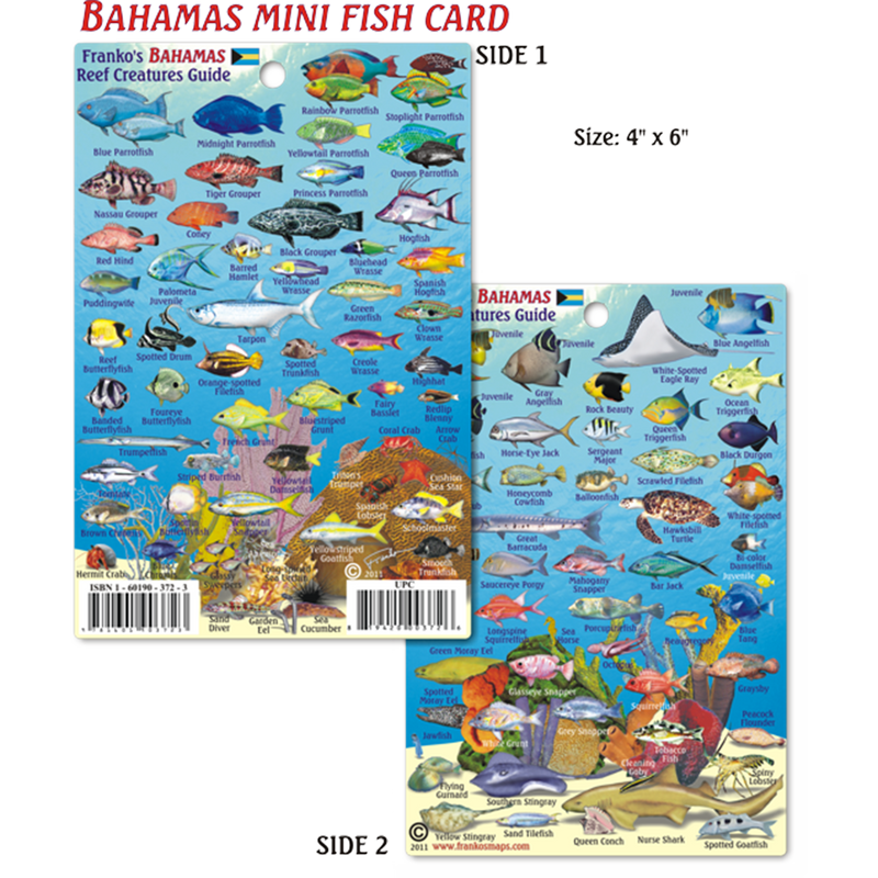 Franko Maps Bahamas Reef Creature Guide 4 X 6 Inch