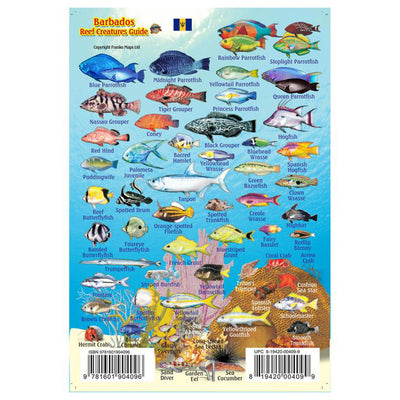 Franko Maps Barbados Reef Creature Guide 4 X 6 Inch