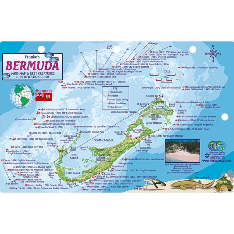 Franko Maps Bermuda Coral Reef Dive Creature Guide 5.5 X 8.5 Inch