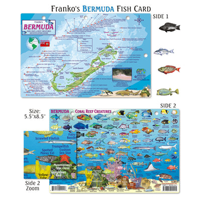 Franko Maps Bermuda Coral Reef Dive Creature Guide 5.5 X 8.5 Inch