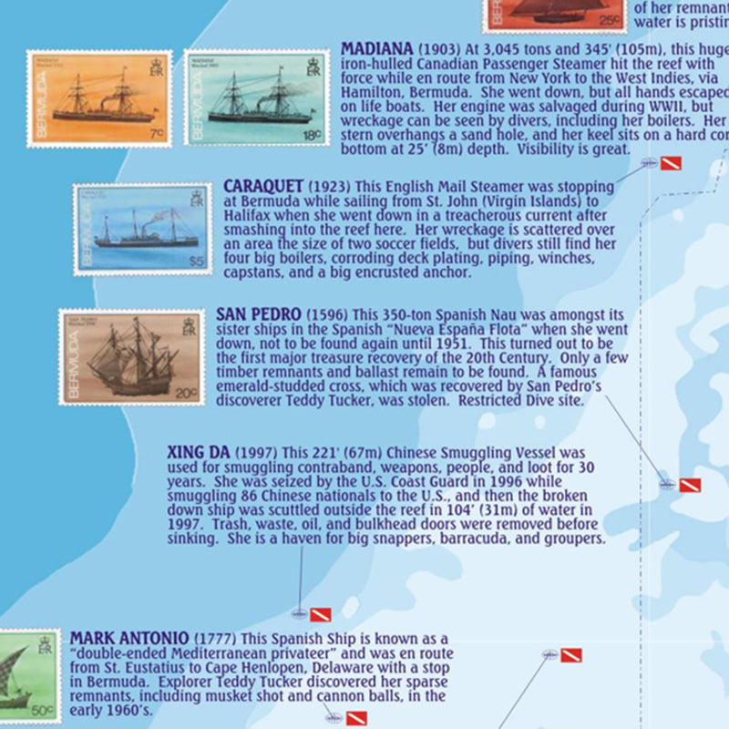 Franko Maps Bermuda Dive Creature Adventure Guide 18.5 X 26 Inch