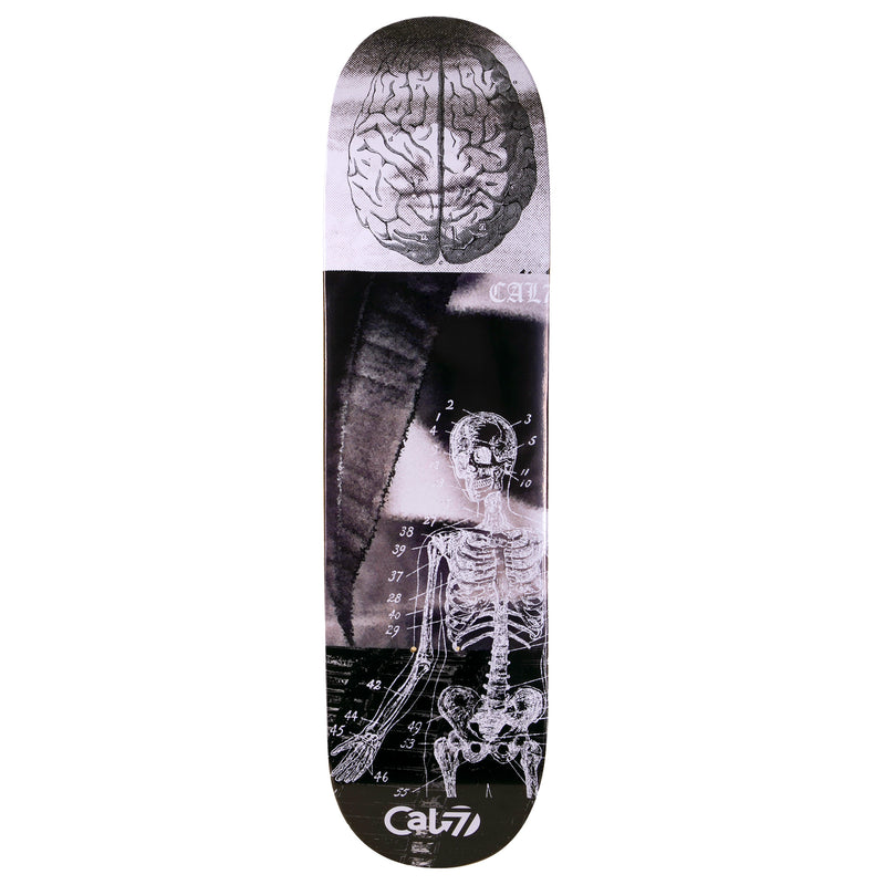 Cal 7 Anatomy 8.25 Inch Skateboard Deck