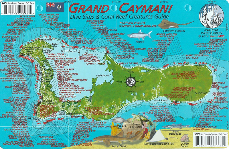 Franko Maps Grand Cayman Island Dive Map & Reef Creatures Guide
