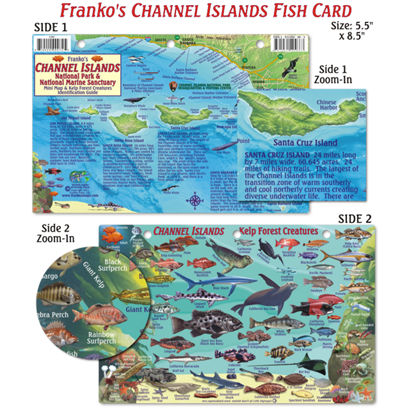 Franko Maps Channel Islands Creature Guide 5.5 X 8.5 Inch