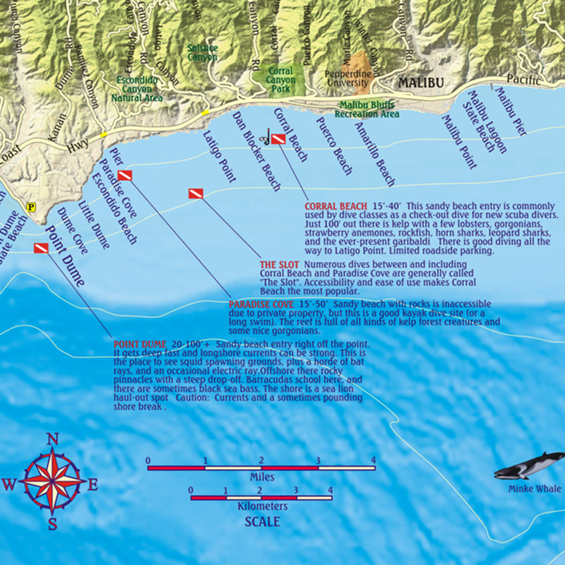 Franko Maps Los Angeles County Coast Dive Guide 14 X 21 Inch