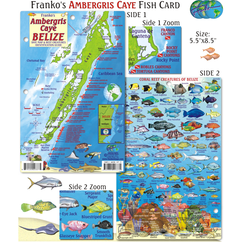 Franko Maps Belize Ambergris Caye Dive Creature Guide 5.5 X 8.5 Inch