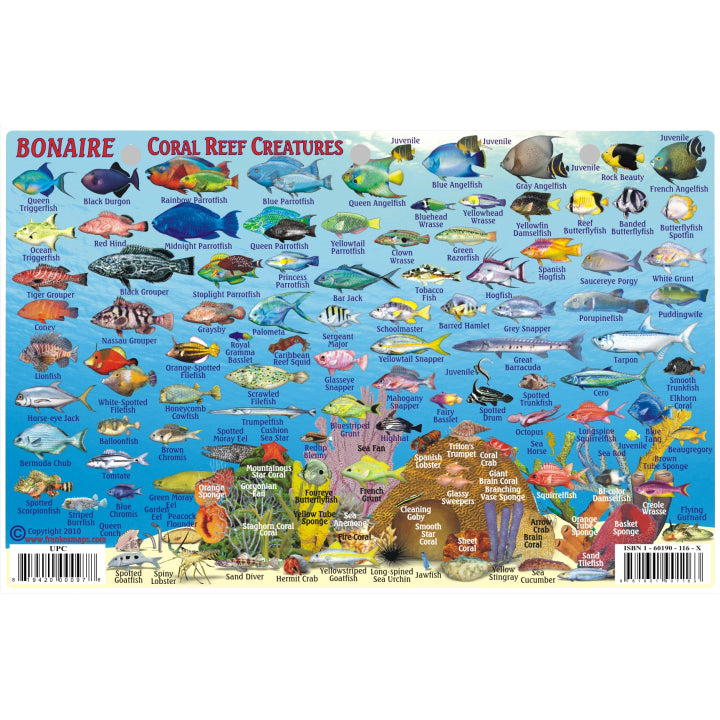 Franko Maps Bonaire Coral Reef Dive Creature Guide 5.5 X 8.5 Inch