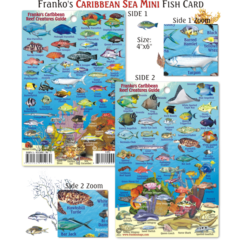 Franko Maps Caribbean Reef Creature Guide 4 X 6 Inch