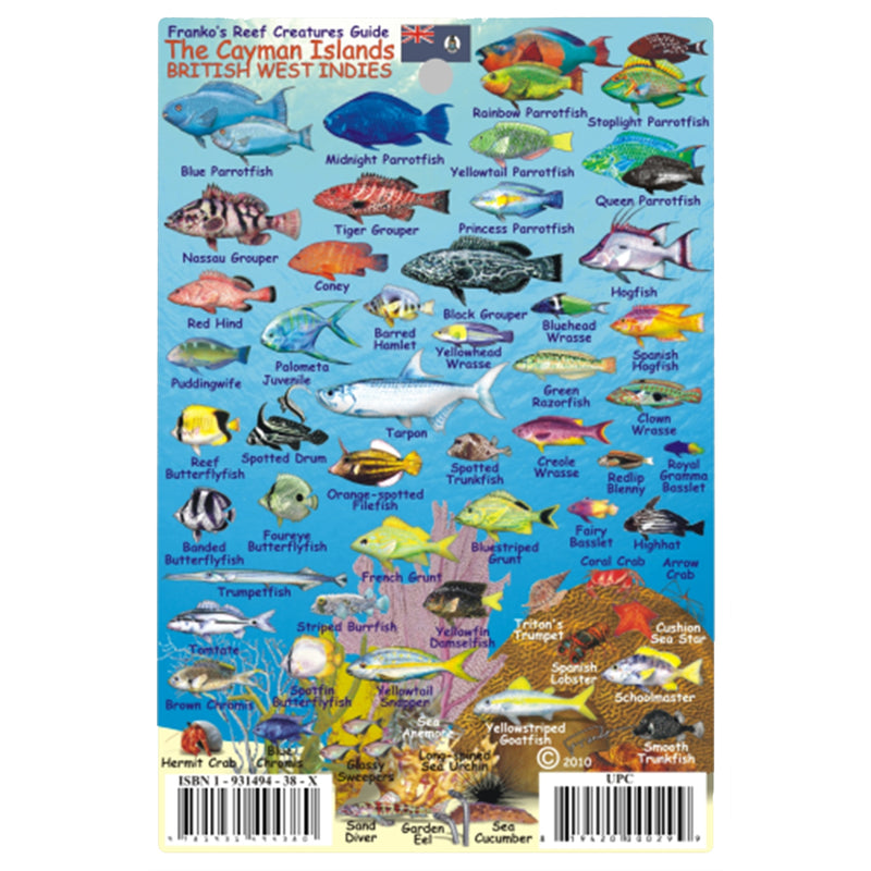 Franko Maps Cayman Islands Creature Guide 4 X 6 Inch