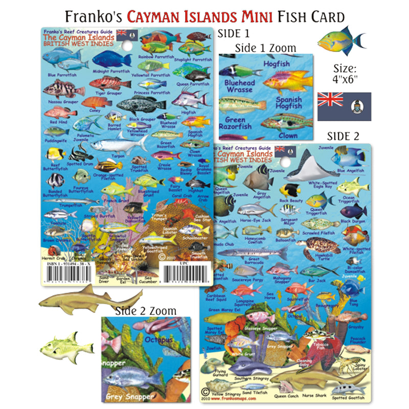 Franko Maps Cayman Islands Creature Guide 4 X 6 Inch
