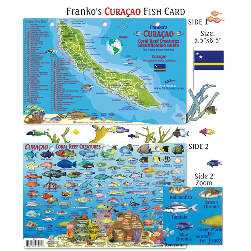 Franko Maps Curacao Reef Dive Creature Guide 5.5 X 8.5 Inch