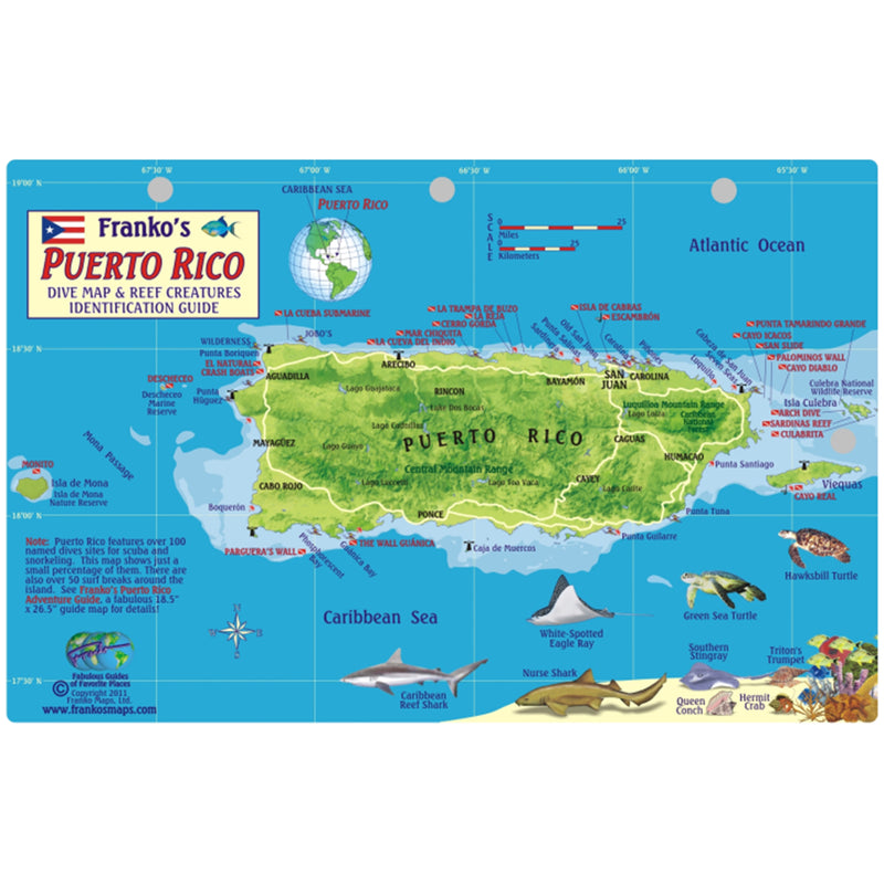 Franko Maps Puerto Rico Dive Creature Guide 5.5 X 8.5 Inch