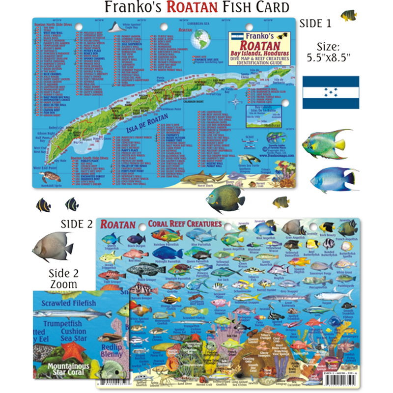 Franko Maps Roatan Honduras Reef Dive Creature Guide 5.5 X 8.5 Inch