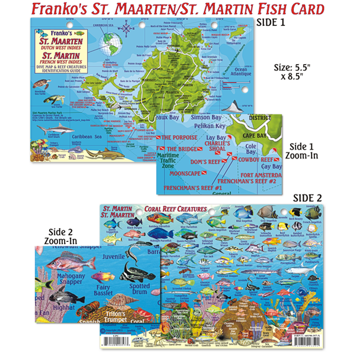 Franko Maps St Maarten/St Martin Coral Reef Dive Creature Guide 5.5 X ... Franko Maps St Maarten/St Martin Coral Reef Dive Creature Guide 5.5 X ...