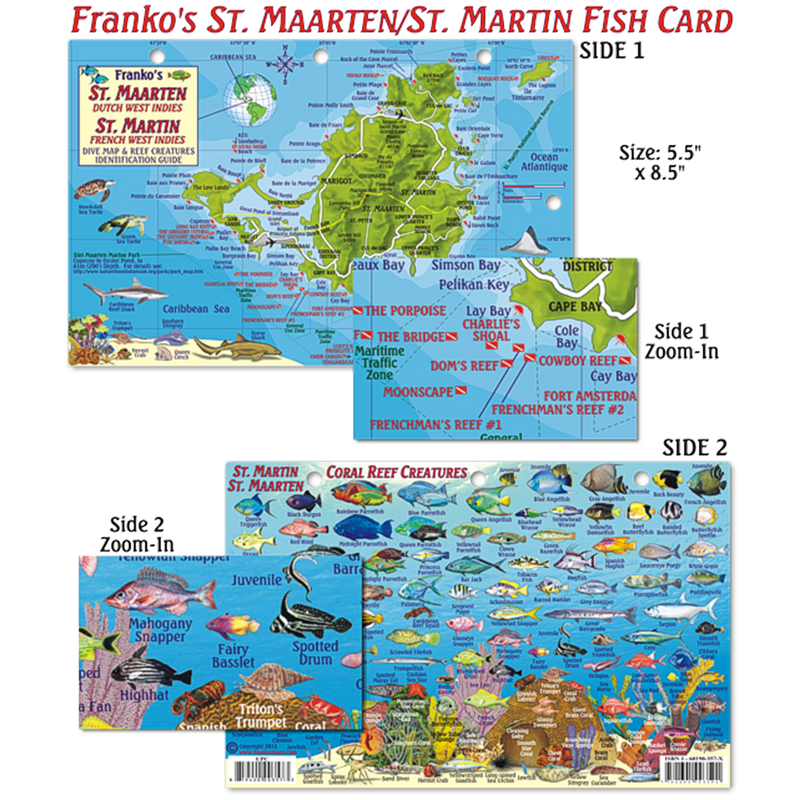 Franko Maps St Maarten/St Martin Coral Reef Dive Creature Guide 5.5 X 8.5 Inch