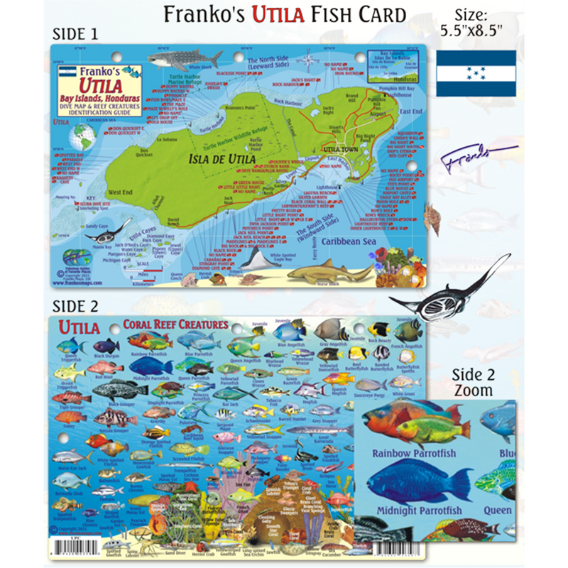 Franko Maps Utila Coral Reef Dive Creature Guide 5.5 X 8.5 Inch