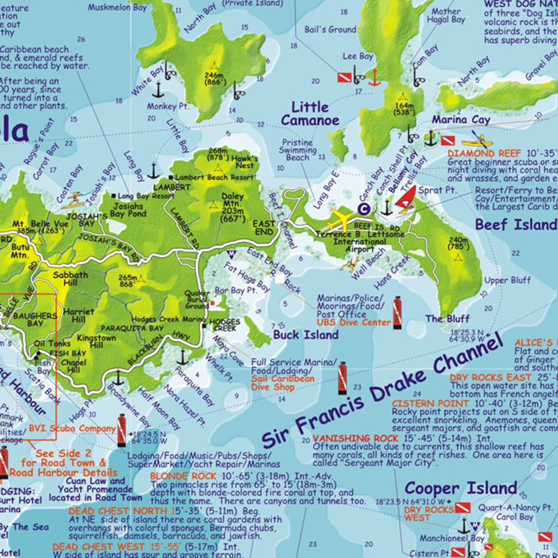 Franko Maps British Virgin Islands Dive Creature Guide 18.5 X 26 Inch