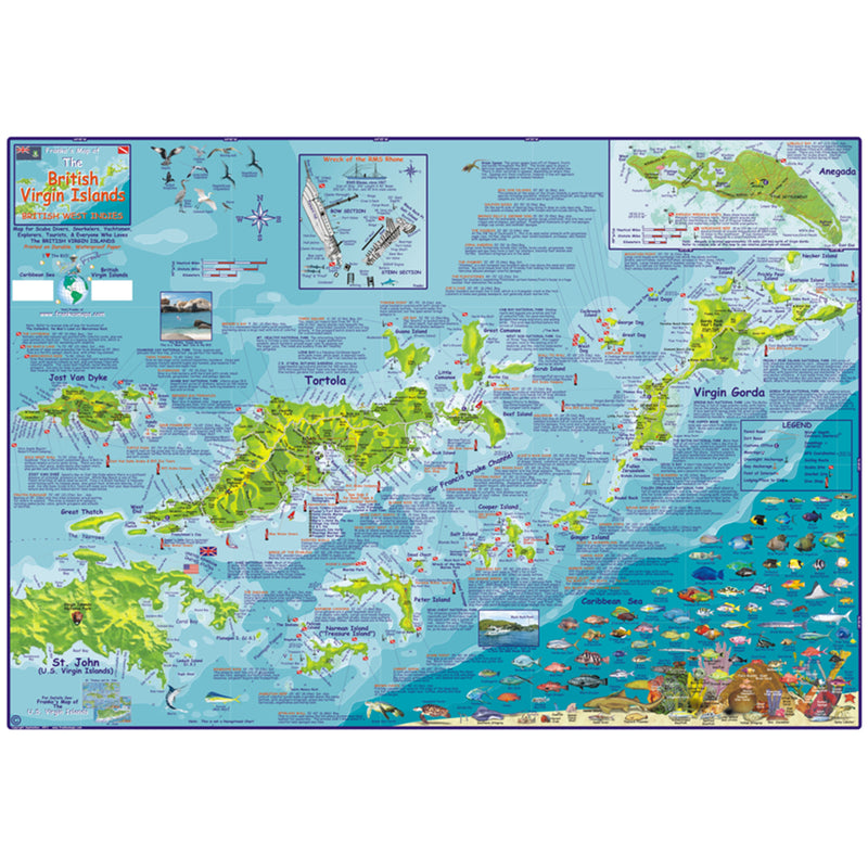 Franko Maps British Virgin Islands Dive Creature Guide 18.5 X 26 Inch