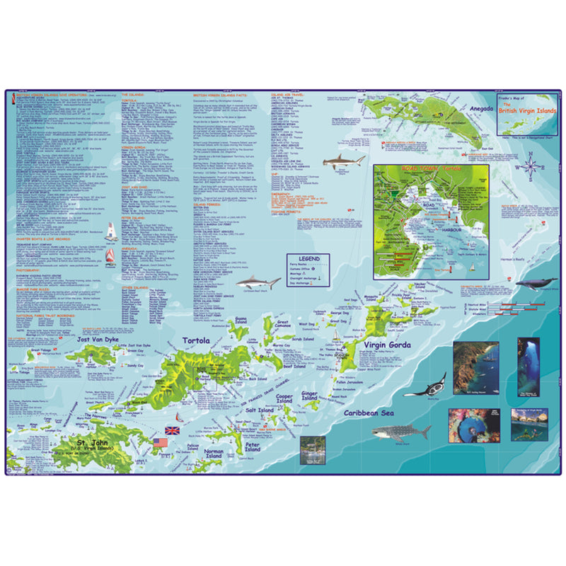 Franko Maps British Virgin Islands Dive Creature Guide 18.5 X 26 Inch