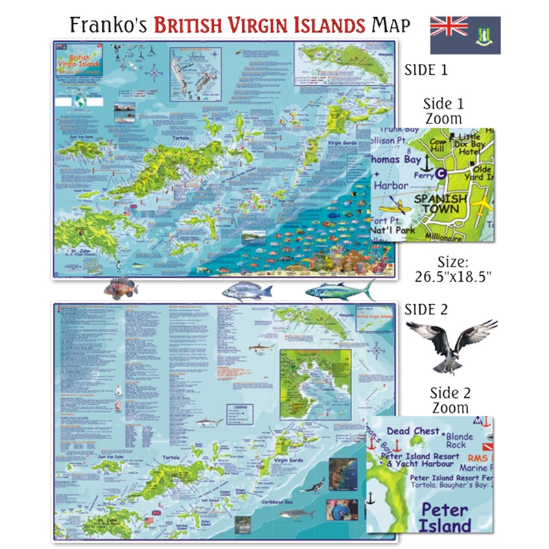 Franko Maps British Virgin Islands Dive Creature Guide 18.5 X 26 Inch