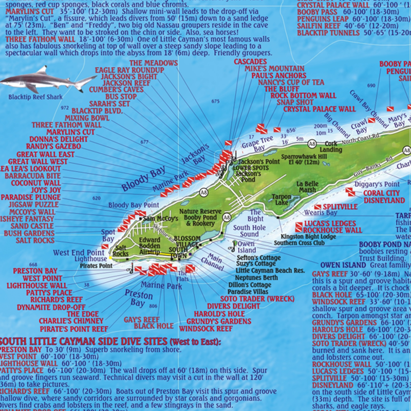 Franko Maps Cayman Islands Dive Creature Guide 18 X 26 Inch