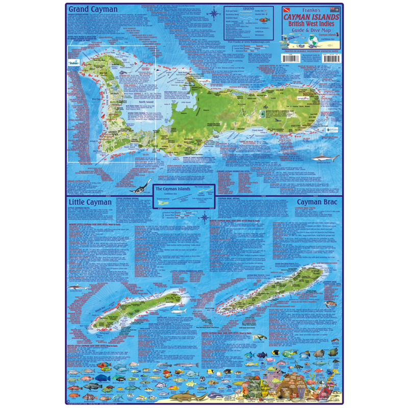 Franko Maps Cayman Islands Dive Creature Guide 18 X 26 Inch