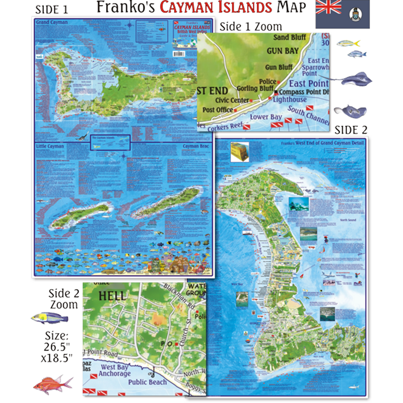 Franko Maps Cayman Islands Dive Creature Guide 18 X 26 Inch
