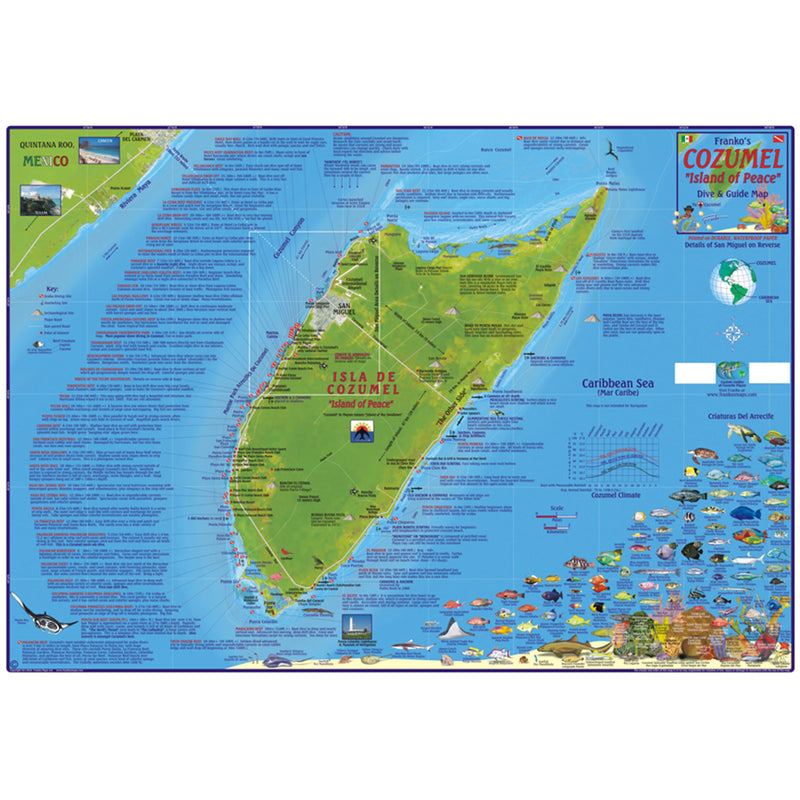 Franko Maps Cozumel Dive Creature Adventure Guide 18.5 X 26 Inch