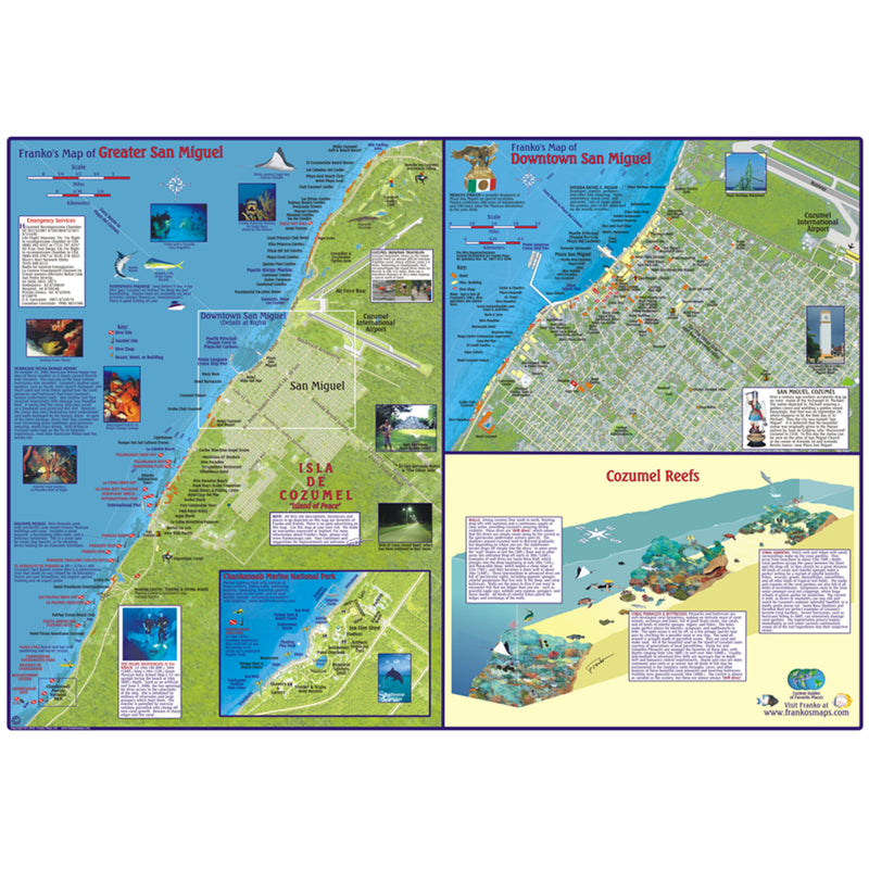 Franko Maps Cozumel Dive Creature Adventure Guide 18.5 X 26 Inch