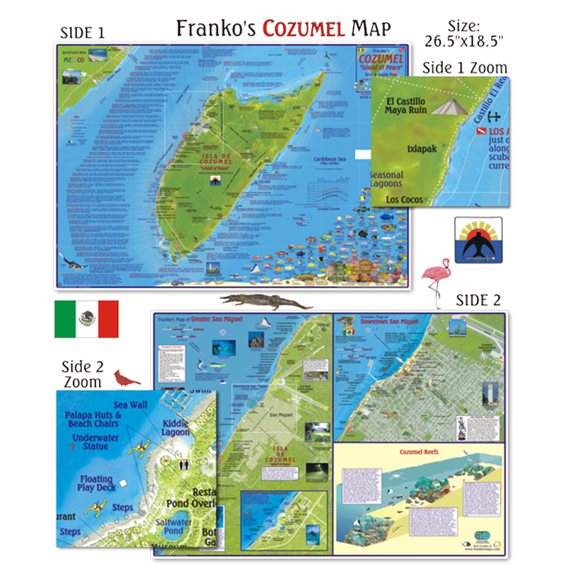 Franko Maps Cozumel Dive Creature Adventure Guide 18.5 X 26 Inch