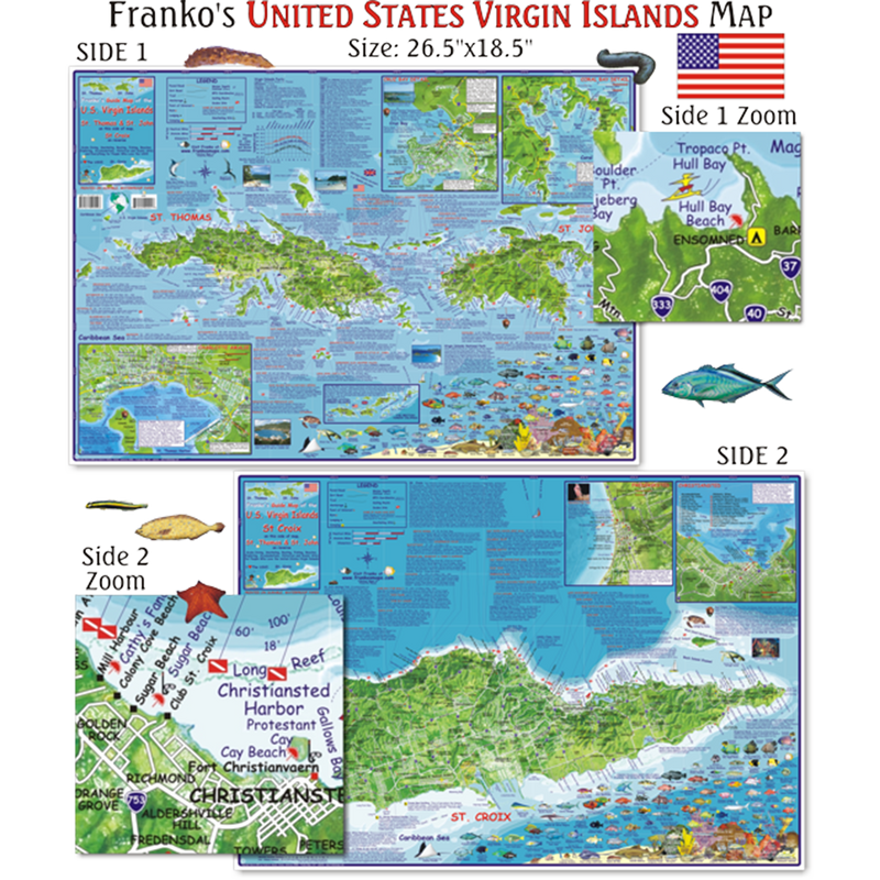 Franko Maps US Virgin Islands Dive Creature Guide 18.5 X 26 Inch
