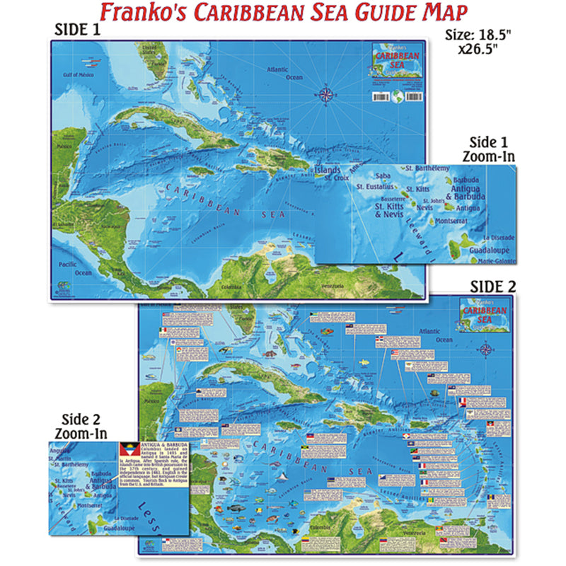 Franko Maps Caribbean Sea Creature Guide 18.5 X 26 Inch