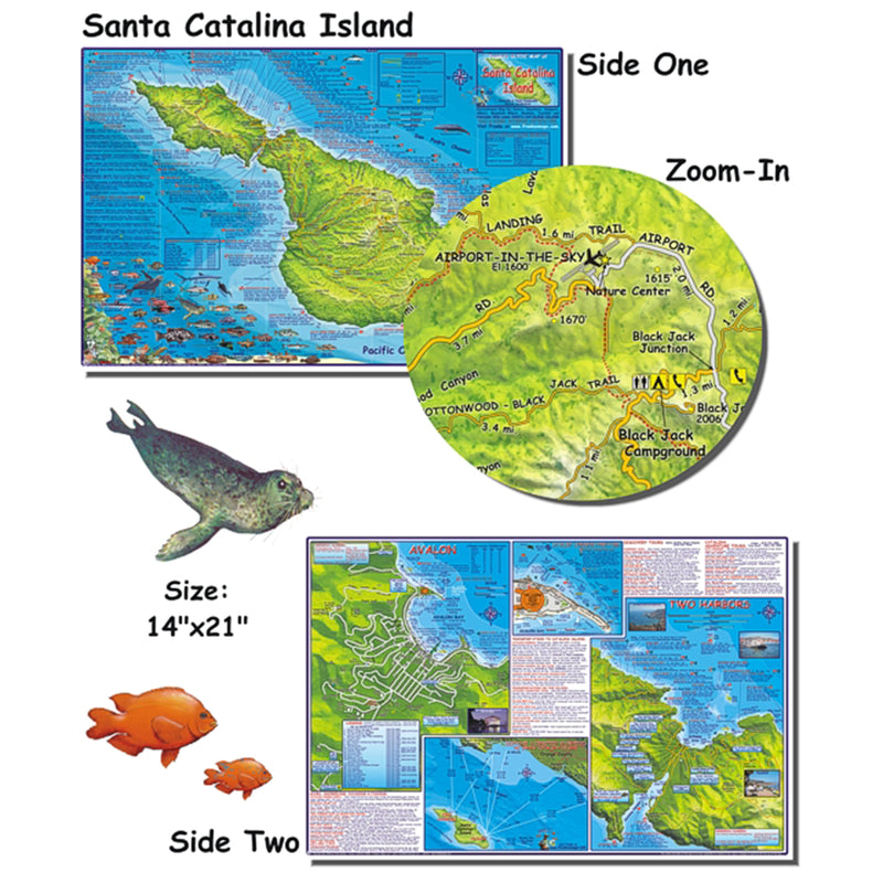 Franko Maps Santa Catalina Island Dive Creature Guide 18.5 X 26 Inch