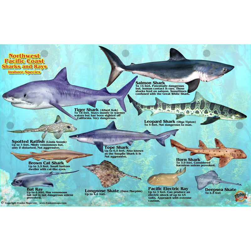 Franko Maps Northwest Pacific Shark Ray Creature Guide 5.5 X 8.5 Inch