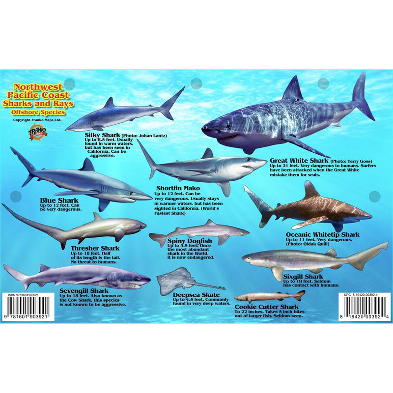 Franko Maps Northwest Pacific Shark Ray Creature Guide 5.5 X 8.5 Inch