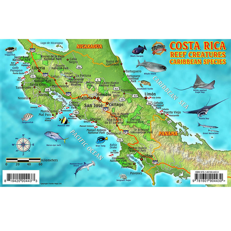 Franko Maps Costa Rica Coral Reef Dive Creature Guide 5.5 X 8.5 Inch