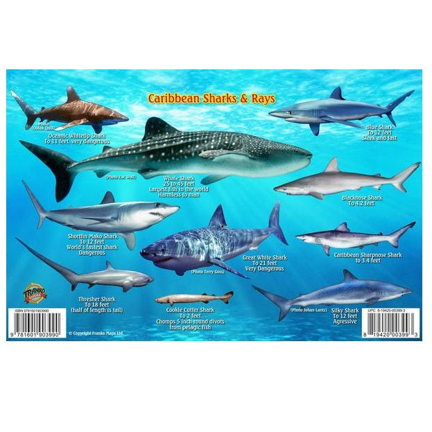Franko Maps Caribbean Sharks Rays Creature Guide 5.5 X 8.5 Inch