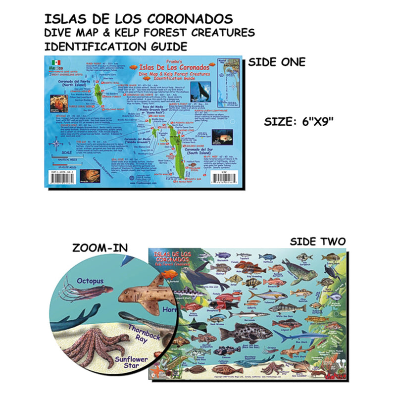 Franko Maps Coronado Island Fish Dive Creature Guide 5.5 X 8.5 Inch