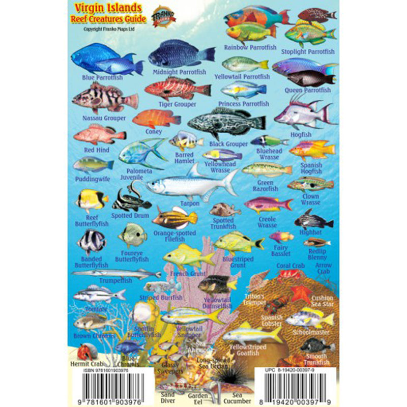 Franko Maps Virgin Islands Reef Creature Guide 4 X 6 Inch